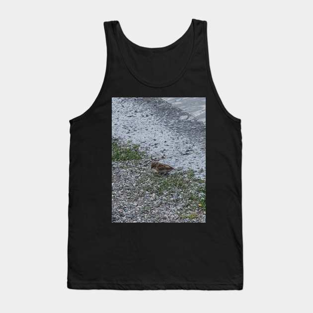 Baby Bird Tank Top by Alemway